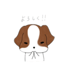 シーズーのりんすけ（個別スタンプ：34）