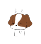 シーズーのりんすけ（個別スタンプ：38）