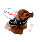 loveひめ（個別スタンプ：1）