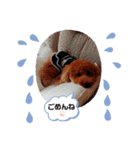 loveひめ（個別スタンプ：8）