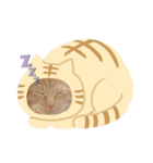 茶トラ猫めるたんのスタンプ（個別スタンプ：3）
