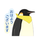 南極ペンギンカラーズスタンプ（個別スタンプ：6）