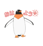 南極ペンギンカラーズスタンプ（個別スタンプ：7）