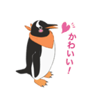 南極ペンギンカラーズスタンプ（個別スタンプ：17）