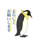 南極ペンギンカラーズスタンプ（個別スタンプ：20）