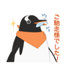 南極ペンギンカラーズスタンプ（個別スタンプ：24）