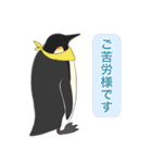 南極ペンギンカラーズスタンプ（個別スタンプ：26）