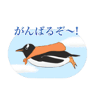 南極ペンギンカラーズスタンプ（個別スタンプ：27）