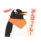 南極ペンギンカラーズスタンプ（個別スタンプ：33）