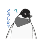 南極ペンギンカラーズスタンプ（個別スタンプ：35）