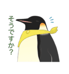 南極ペンギンカラーズスタンプ（個別スタンプ：36）