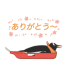 南極ペンギンカラーズスタンプ（個別スタンプ：40）