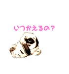 岡山ドロップのうさぎ（個別スタンプ：5）