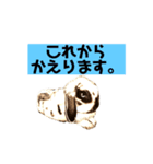 岡山ドロップのうさぎ（個別スタンプ：7）