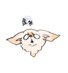 いとしチワワ（個別スタンプ：4）