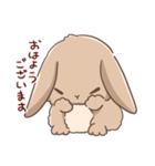 うさぎのキモチ。（個別スタンプ：1）
