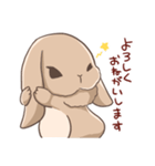 うさぎのキモチ。（個別スタンプ：5）
