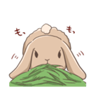 うさぎのキモチ。（個別スタンプ：16）