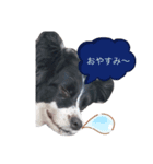 もふもふかねっと（個別スタンプ：2）