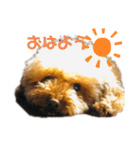 ナラ ファミリー（個別スタンプ：1）