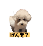 ナラ ファミリー（個別スタンプ：4）