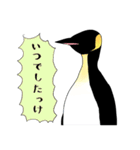 ペンギンのつぶやき ～情動～（個別スタンプ：26）