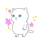 日常生活の猫（個別スタンプ：1）