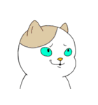 日常生活の猫（個別スタンプ：9）