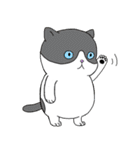 日常生活の猫（個別スタンプ：10）