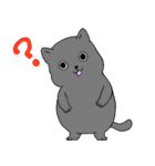 日常生活の猫（個別スタンプ：26）