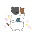 日常生活の猫（個別スタンプ：31）