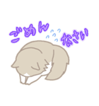長毛にゃんこ/ブラウン（個別スタンプ：7）