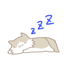 長毛にゃんこ/ブラウン（個別スタンプ：11）