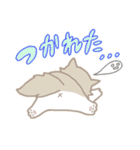 長毛にゃんこ/ブラウン（個別スタンプ：29）