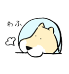 エリザベスカラーわんこ2（個別スタンプ：1）