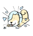 エリザベスカラーわんこ2（個別スタンプ：3）