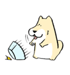 エリザベスカラーわんこ2（個別スタンプ：6）