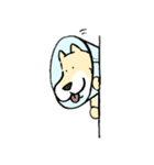 エリザベスカラーわんこ2（個別スタンプ：12）