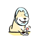 エリザベスカラーわんこ2（個別スタンプ：37）