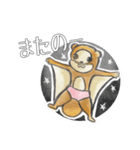 怪盗モモンガ（個別スタンプ：21）