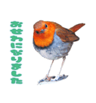 都市公園の野鳥 (バージョン 1)（個別スタンプ：15）