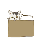 うちのきじ猫すたんぷ（個別スタンプ：9）