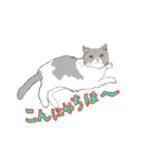 ねこさんのごあいさつ（個別スタンプ：2）