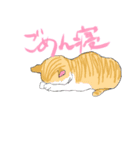 ねこさんのごあいさつ（個別スタンプ：5）