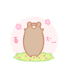くまたくん-春編（個別スタンプ：1）