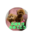 梅小梅（個別スタンプ：4）