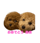 梅小梅（個別スタンプ：6）