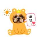 ペットペットラブラブ（個別スタンプ：3）