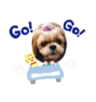 ペットペットラブラブ（個別スタンプ：6）