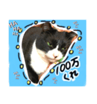 使えるりーらんスタンプ（個別スタンプ：1）